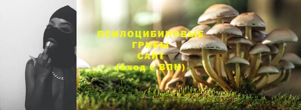 ALPHA PVP Алексин